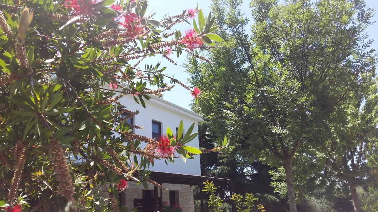 Sivota Apartments Athina Sívota Exterior foto