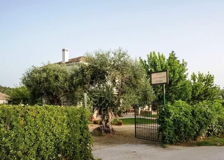 Sivota Apartments Athina Sívota Exterior foto